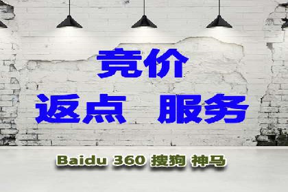 某企业SEM广告投放的ROI提升之路